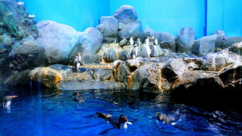 Underwater World Langkawi